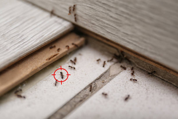 Best Cockroach Control Services  in Wagoner, OK