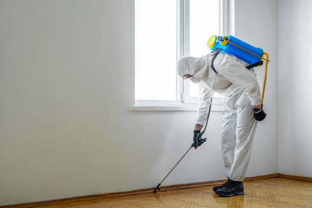 Best Rat Extermination Near Me  in Wagoner, OK