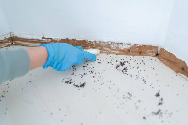 Best Mosquito Control Services  in Wagoner, OK