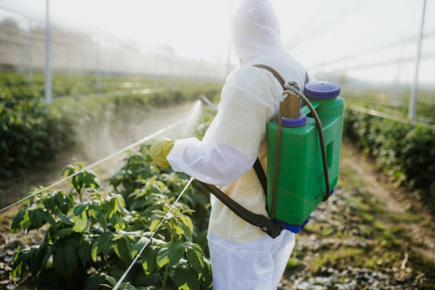 Best Bed Bug Extermination  in Wagoner, OK